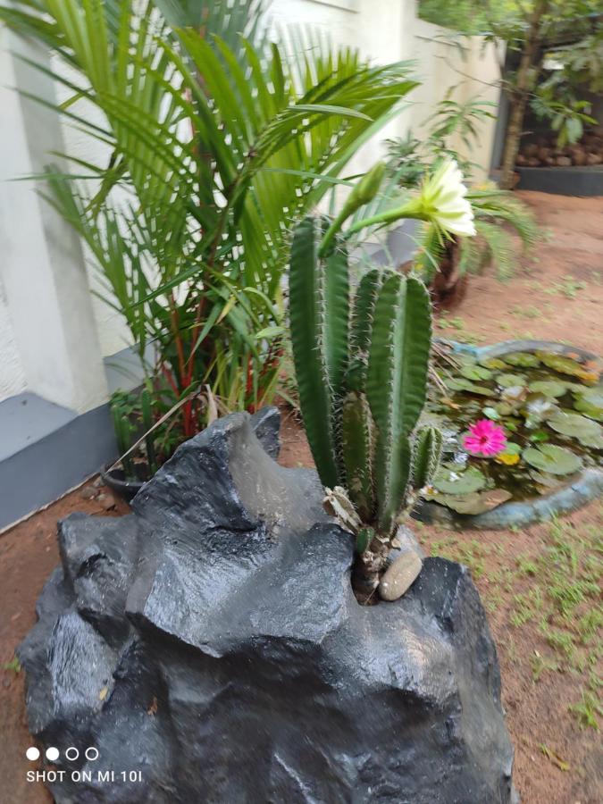 Vyshnavi Home Stay Thanniyam Exterior photo